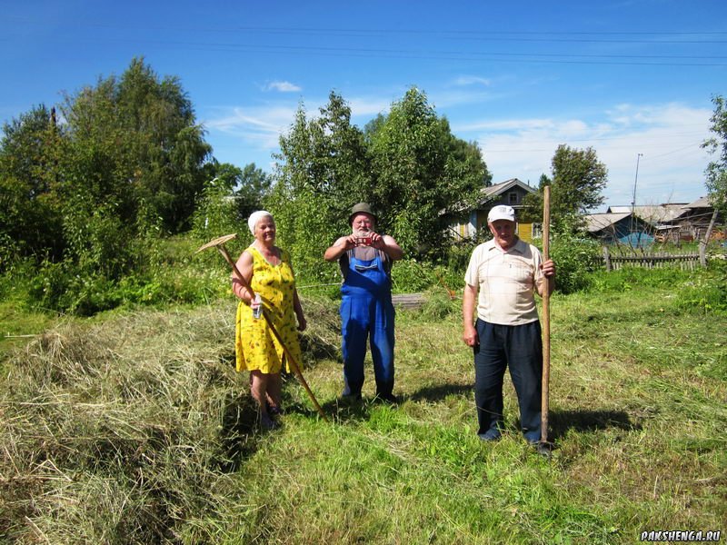 На сенокосе у Горбуновых Тамары Алексеевны и Валентина Ивановича